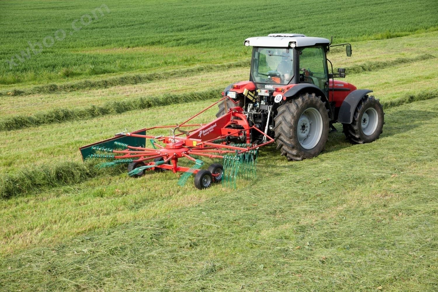 Gran9032 Ba style rake